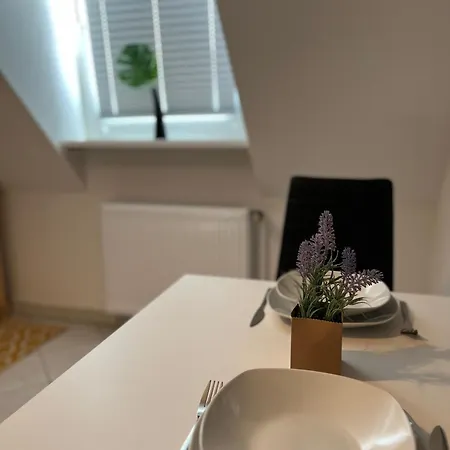 Rose No. 6 Dg, Klimatisiert * Friedrichshafen