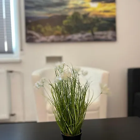 Rose No. 6 Dg, Klimatisiert Appartamento