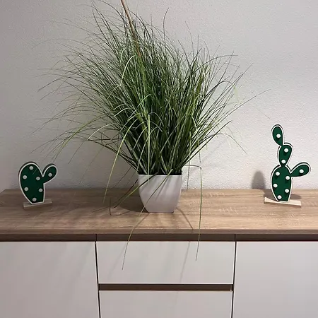 Rose No. 6 Dg, Klimatisiert Apartamento Friedrichshafen