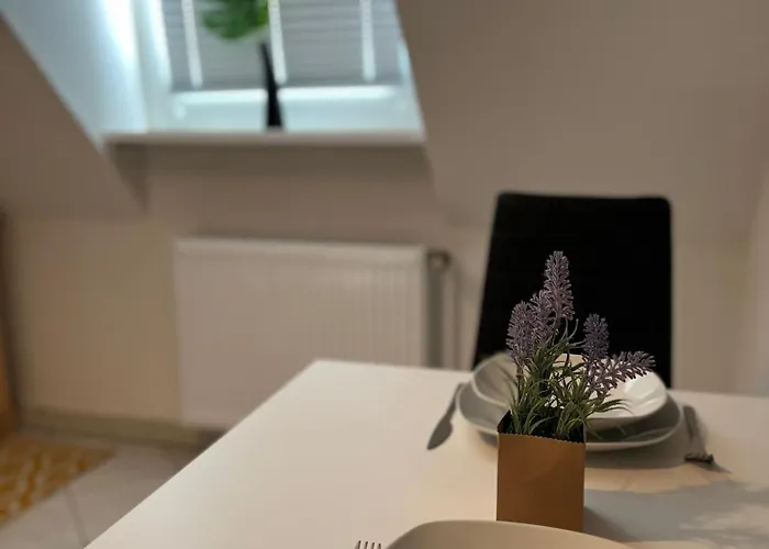 Rose No. 6 Dg, Klimatisiert * Friedrichshafen